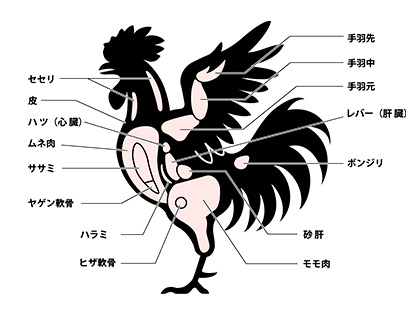 主なお取り扱い部位