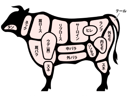 主なお取り扱い部位