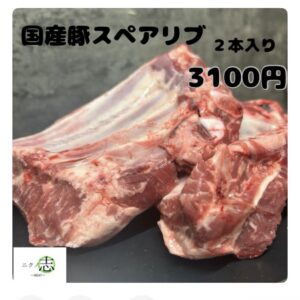 人気商品紹介‼︎